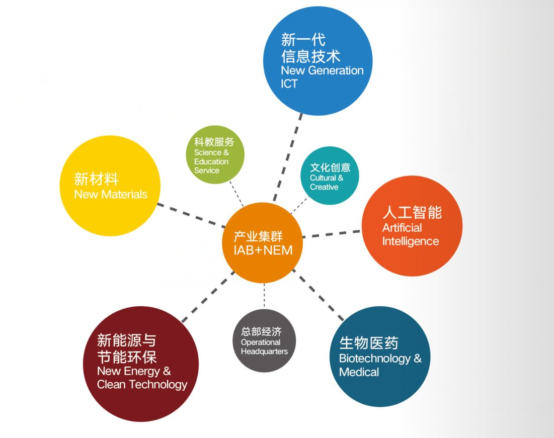 山东省***市***区产业发展规划（2019—2025年）